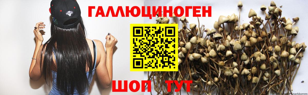 цены   Псилоцибиновые грибы GOLDEN TEACHER  Орехово-Зуево  Вход с VPN  Псилоцибиновые грибы мухоморы 
